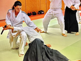  Le taïkido une pratique martiale comme l'aïkido 