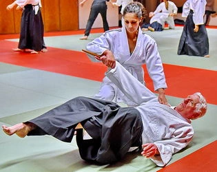 Le taïkido santé et activité physique 