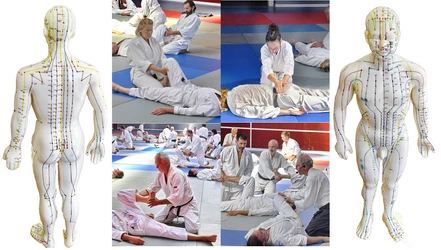  Le taïkido c'est optimiser  sa santé 